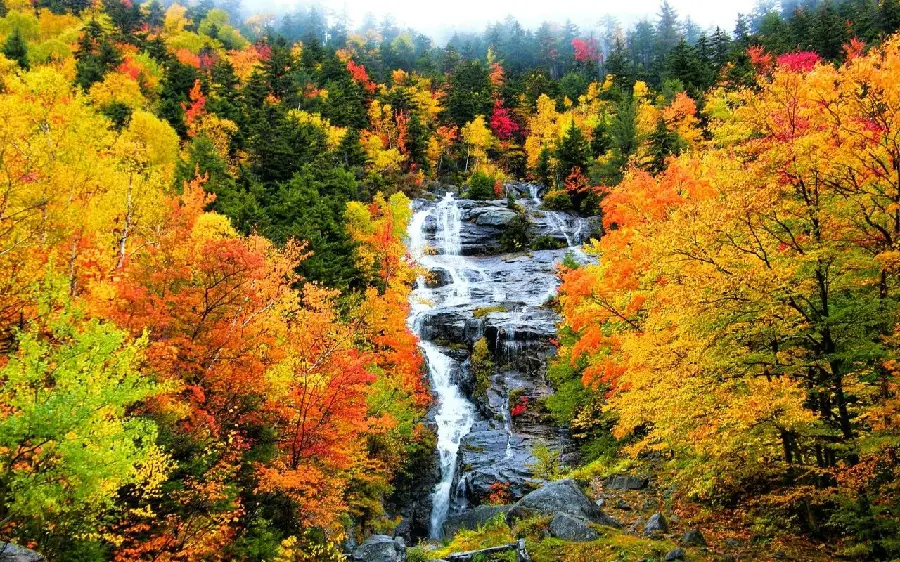 Photo of a waterfall in the middle of the forest in the beautiful and pleasant autumn season 