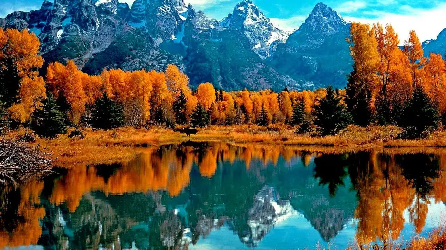 The most beautiful photo of a waterfall in autumn nature with 4K quality 