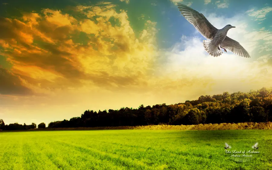 Interesting and spectacular sunset natural landscape design wallpaper 