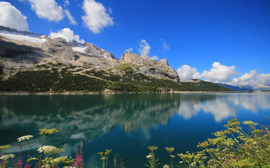 Download an eye-catching wallpaper with a wonderful quality and direct link 