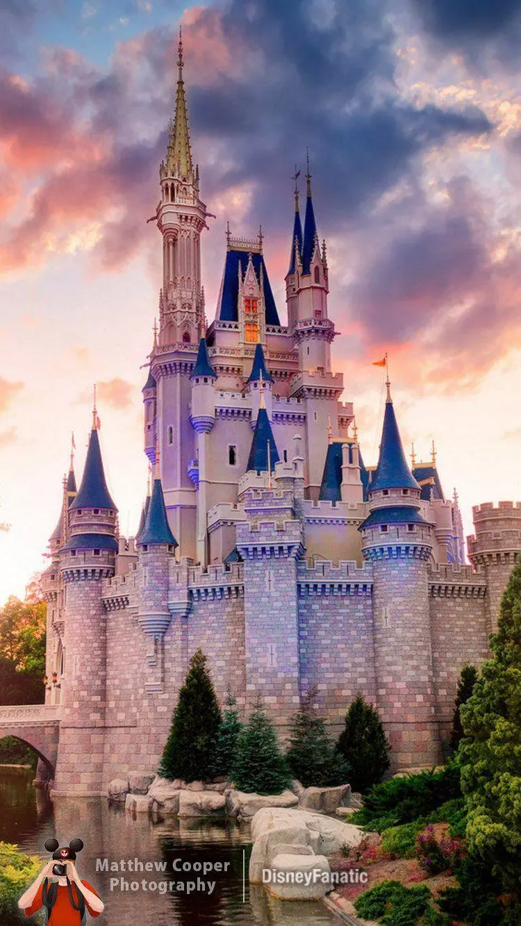 3D background from the magnificent Walt Disney Palace collection for the phone