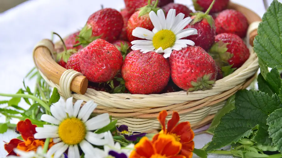 Download Photo of a Container Full of Sweet Red Strawberries in HD Quality 