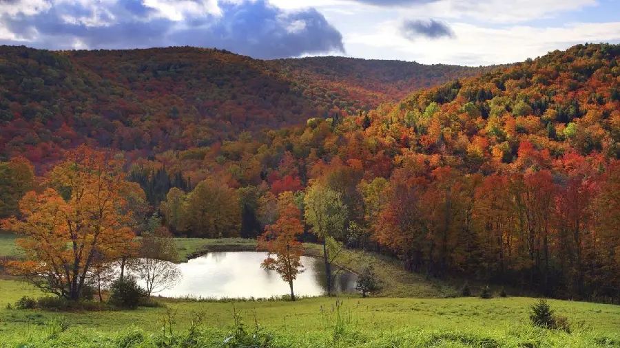 A special and spectacular wallpaper with an autumn theme for Android and iPhone