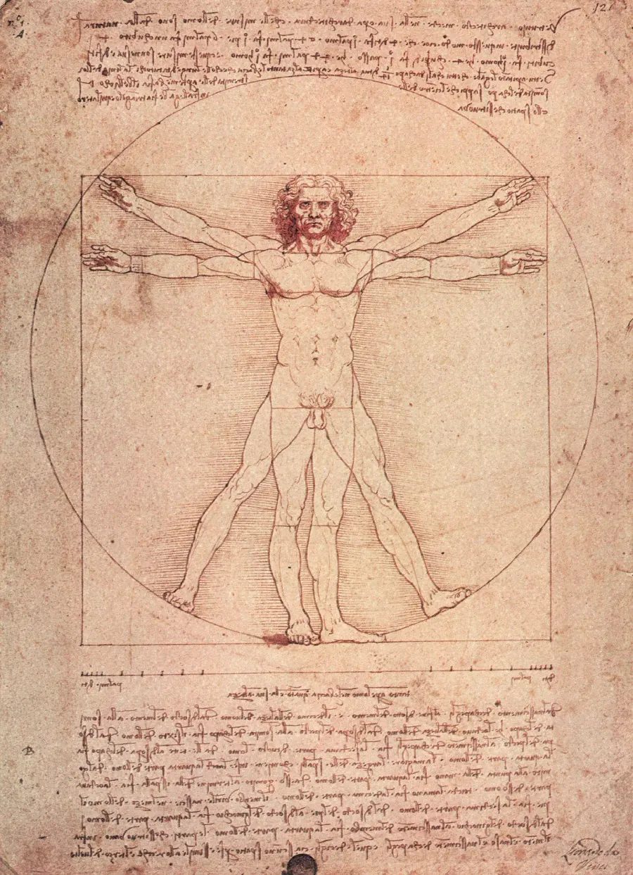 The newest image of Leonardo da Vinci with the highest quality