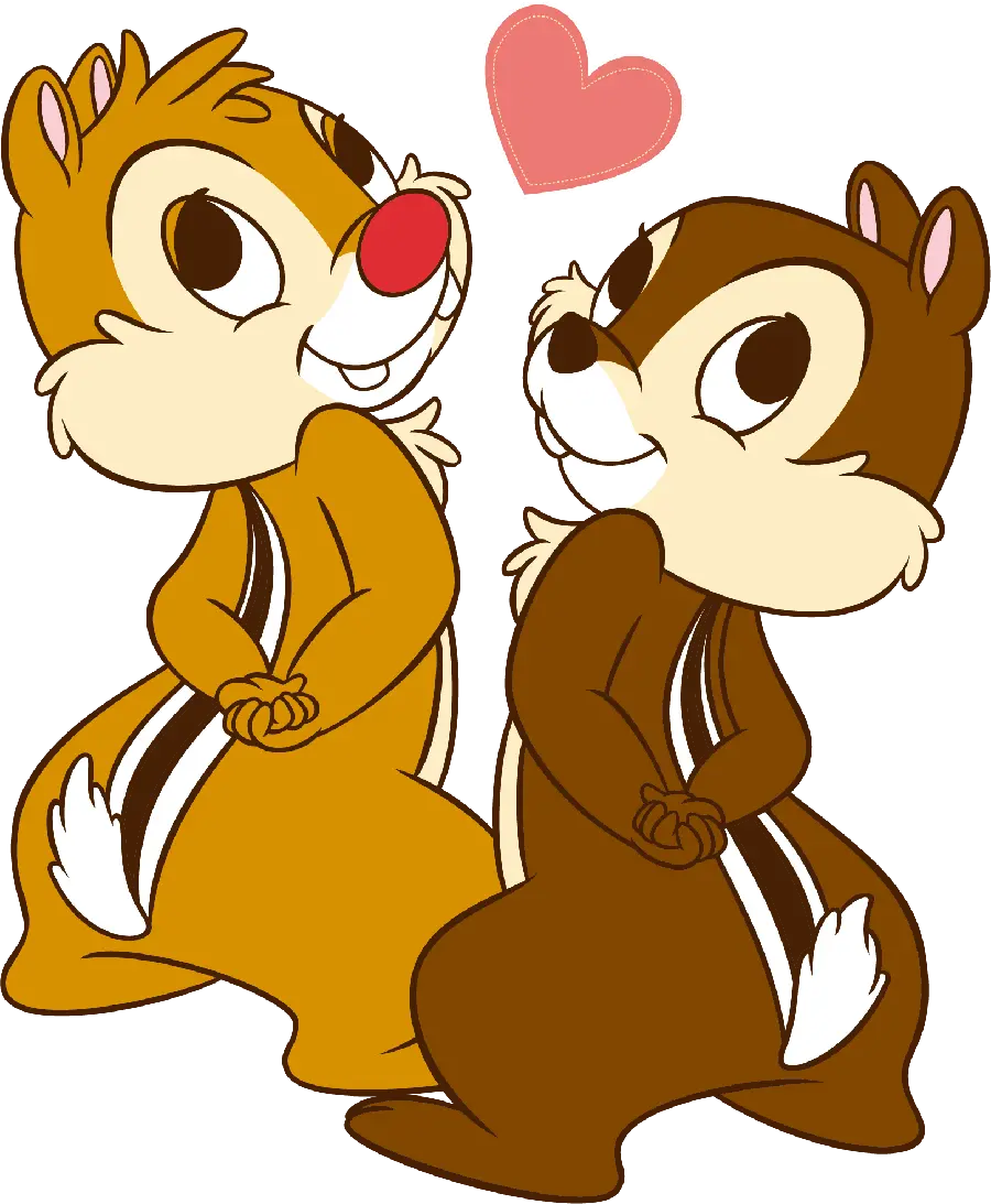 Photos of squirrels in love with googly and cute and funny in PNG format 