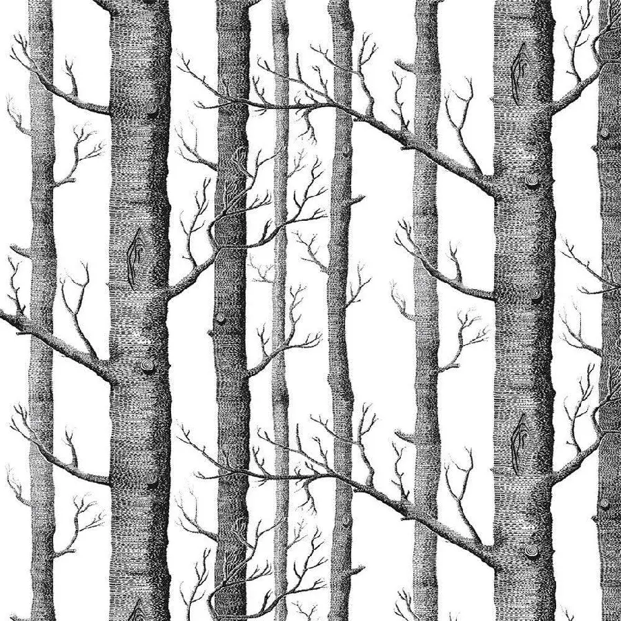 Vector photo of tree trunks in black and white and for free