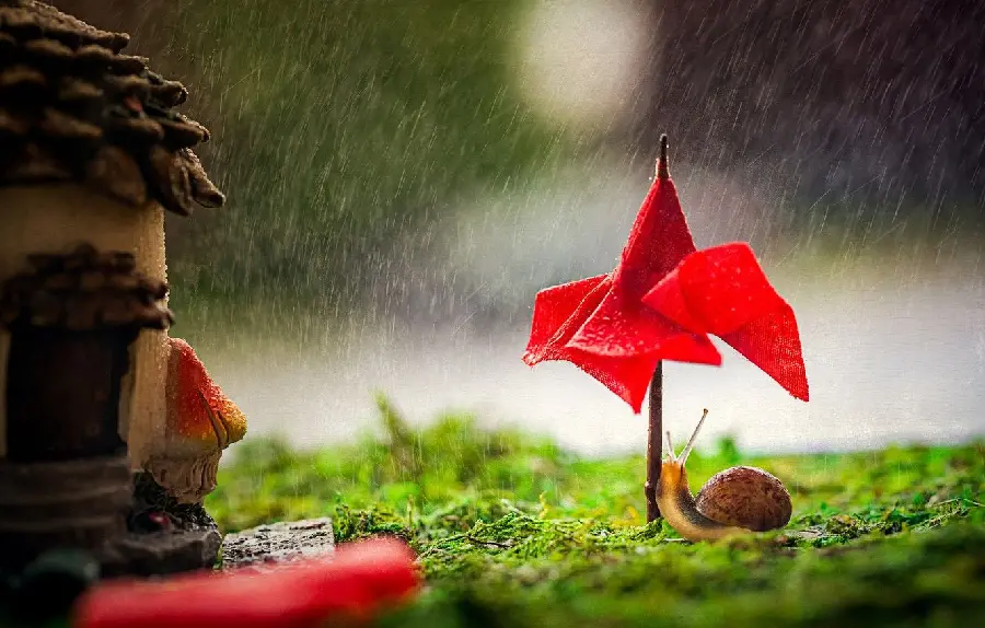Cute and Funny Photo of Snail Under a Rainy Umbrella in High Quality 