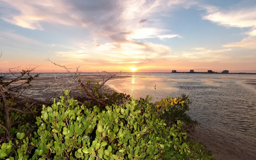 Free download of a wonderful and eye-catching background photo of free nature 