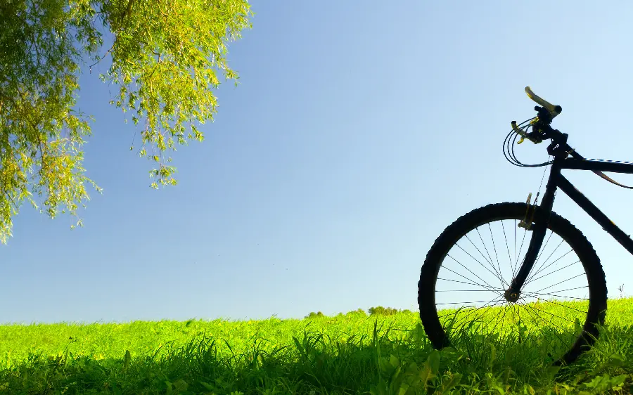 A Dreamy Background with a Good Sense of a Classic Bike in the Meadow