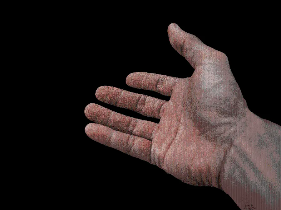 PNG image of a hand cut out without a background 