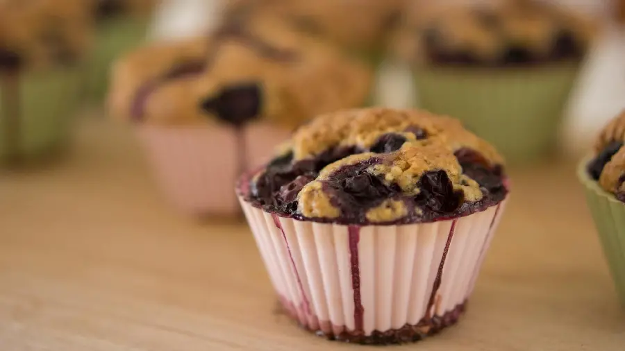 Free Download HD Quality Blueberry and Cocoa Cookie Photo