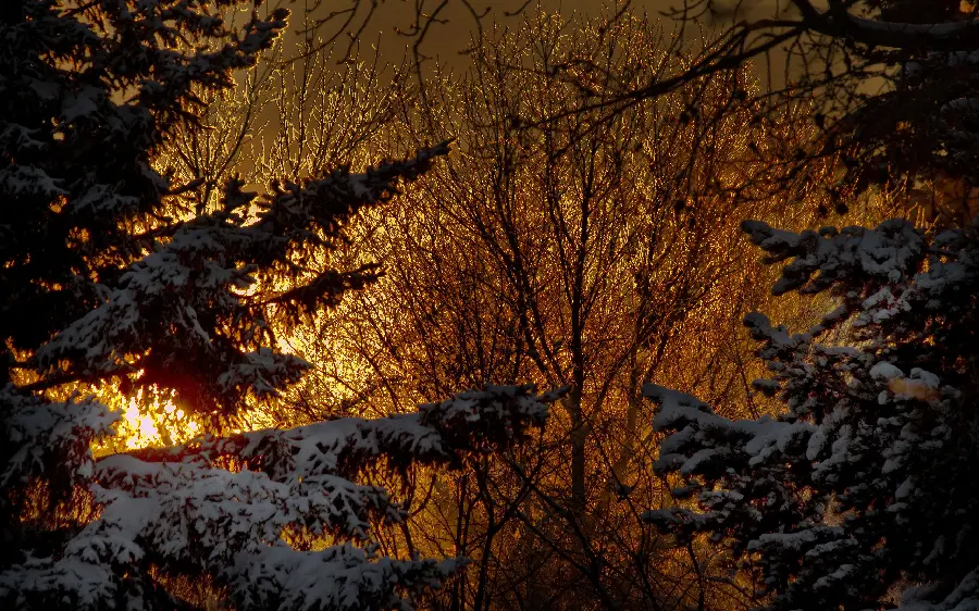 Incredibly beautiful and high-quality winter photo