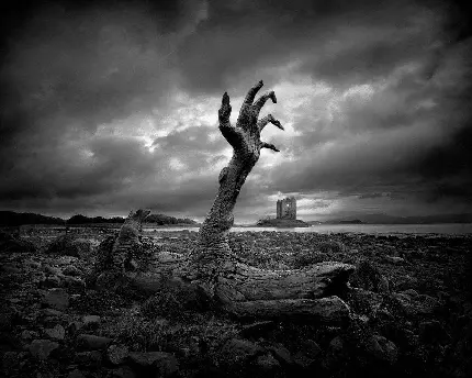 40 black and white surreal art photos with unique designs