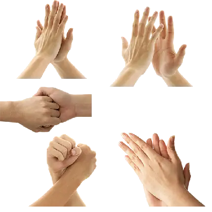 Premium transparent PNG hand images with removed backgrounds
