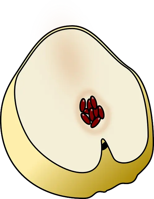 Interesting graphic and cartoon image of fruit in PNG format