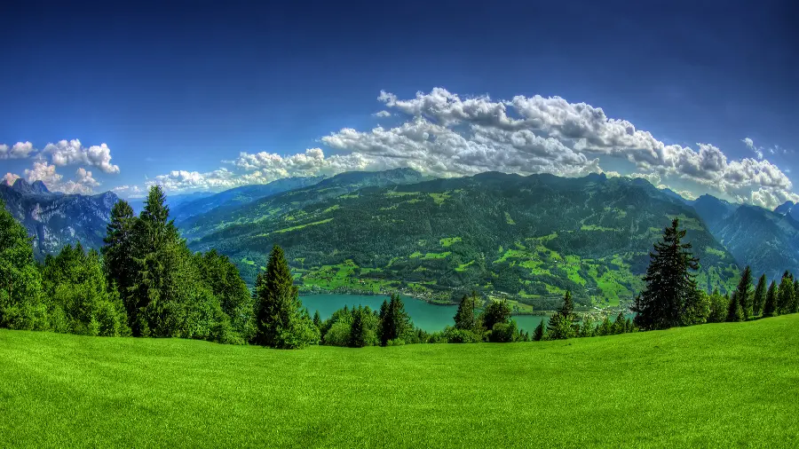 Download quality and fresh image of lush landscape 