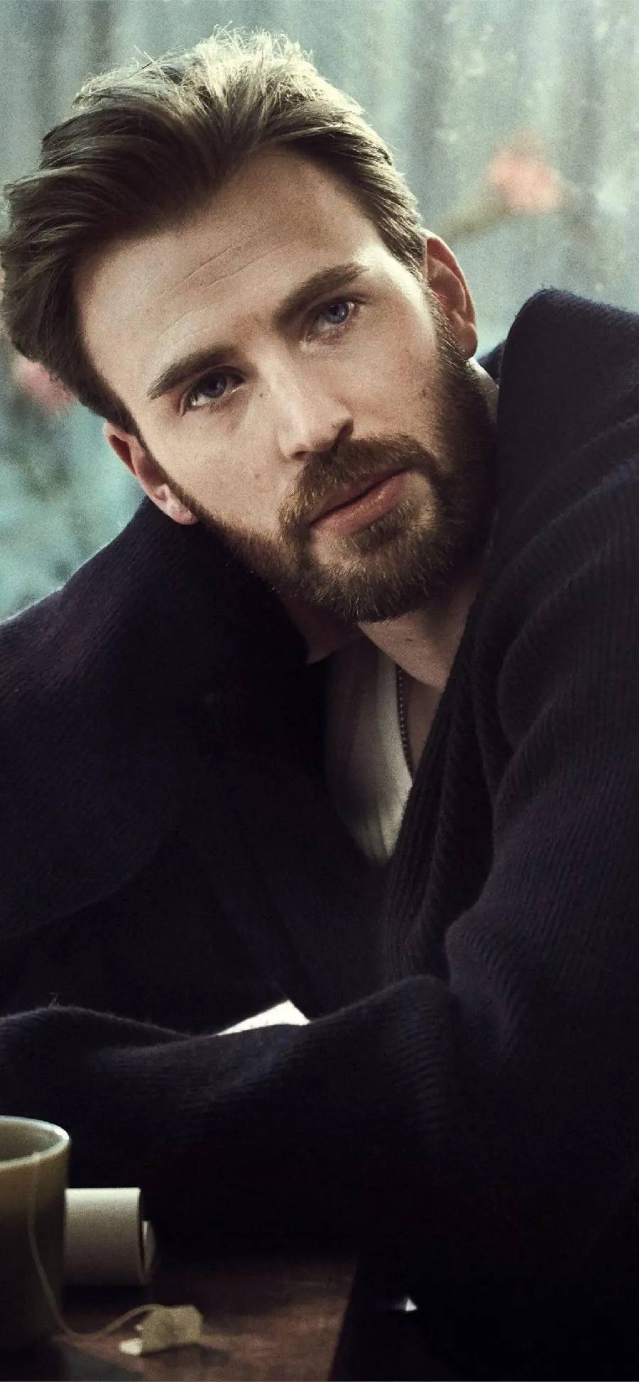 American actor with a brilliant career Chris Evans