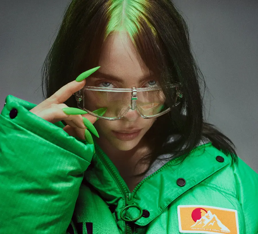 The most crushing photo of Billie Eilish, the famous and popular American singer 