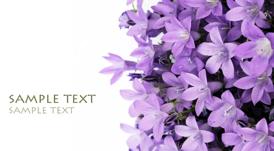 Very beautiful photo for printing greeting cards on a bouquet on Valentine's Day