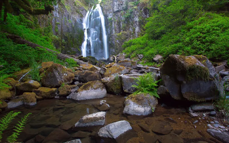 A profile photo with an amazing view of the waterfall with Very good quality and resolution