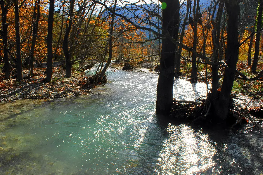 The best natural tourist attraction of the river in the forest 