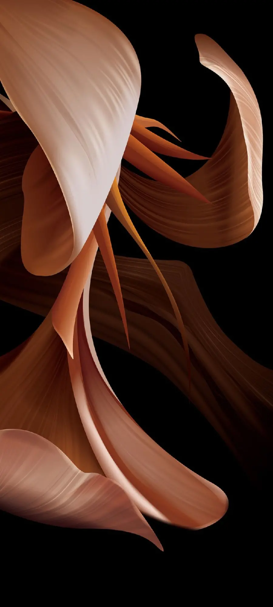 Beautiful flower image on a black background suitable for Motorola Moto E13