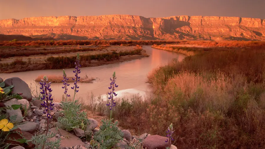 A special nature background with an attractive view for your profile