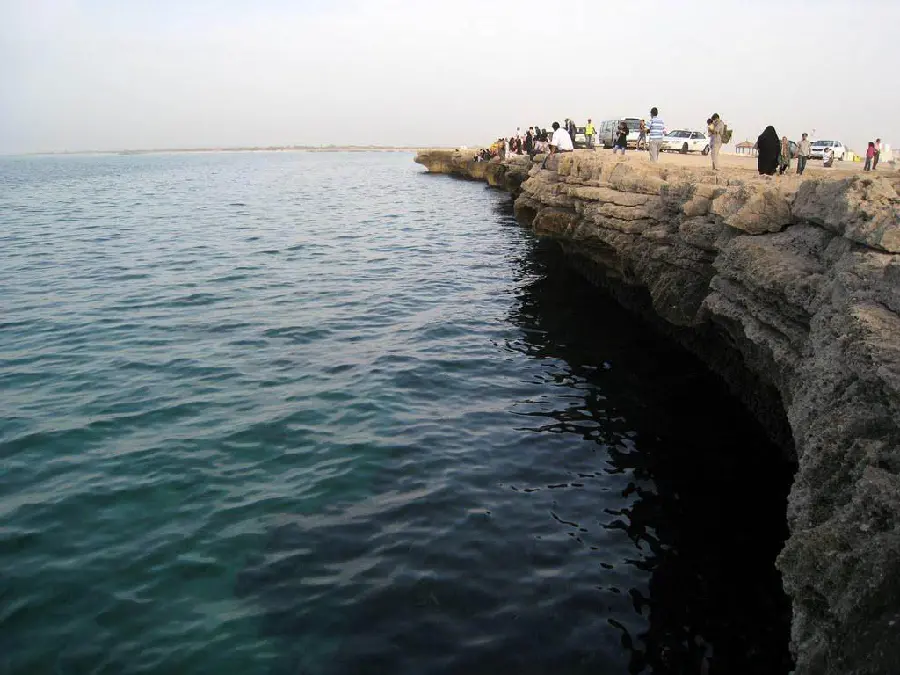 Desktop Background Image of the Bustling Nature of Kish