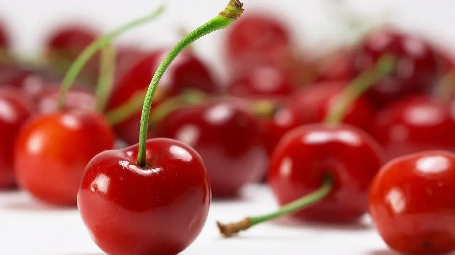 Up-to-date 1403 background and good quality of fresh cherries for jam baking page posts