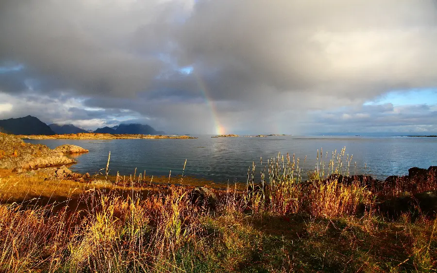 Special and attractive tourist attraction by the lake with the highest quality 