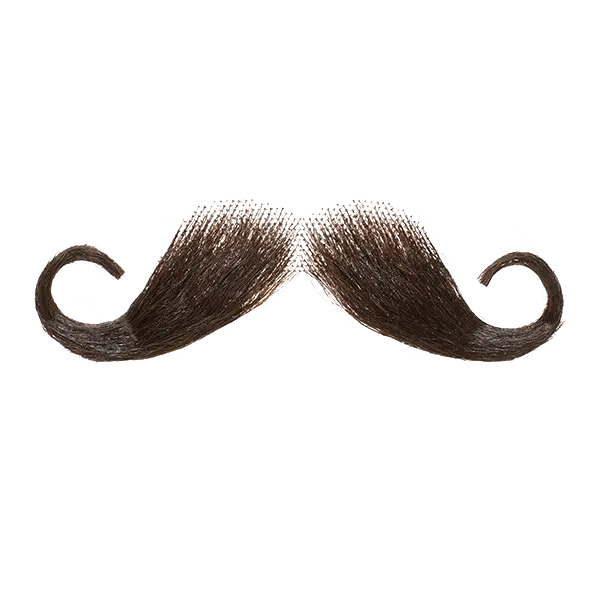 Photo of a teleported mustache in PNG format