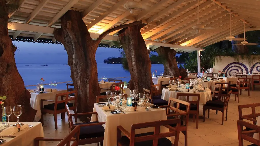 Background photo of a luxury restaurant in the midst of a unique natural environment