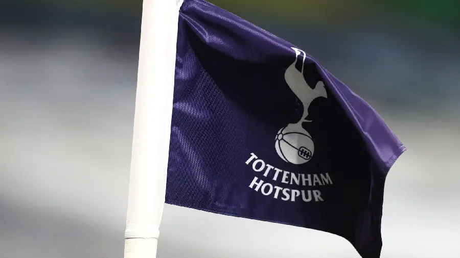 Image of the Tottenham professional team flag for fans of this English team