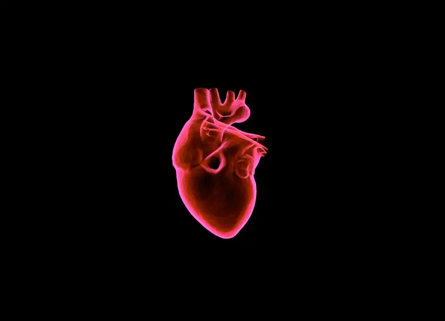Background image of a beating red heart on a black background
