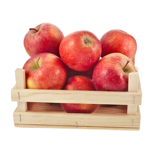 Download image of a basket full of red and delicious summer apples in PNG format 