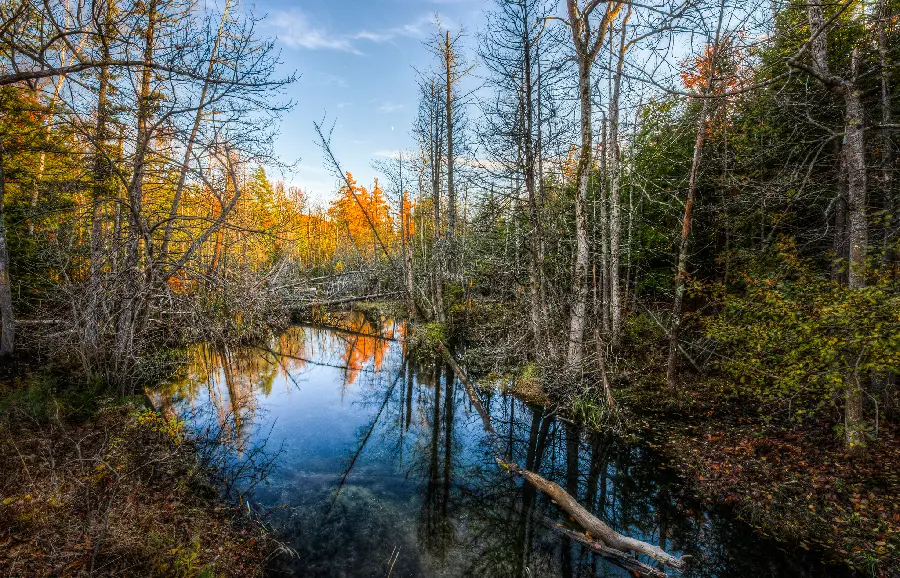 Download photo of a cool and beautiful tourist attraction with tall trees and a full river 