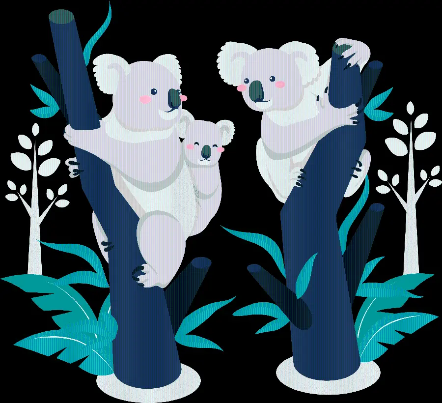 Download images of furry and googly koalas playing in PNG format