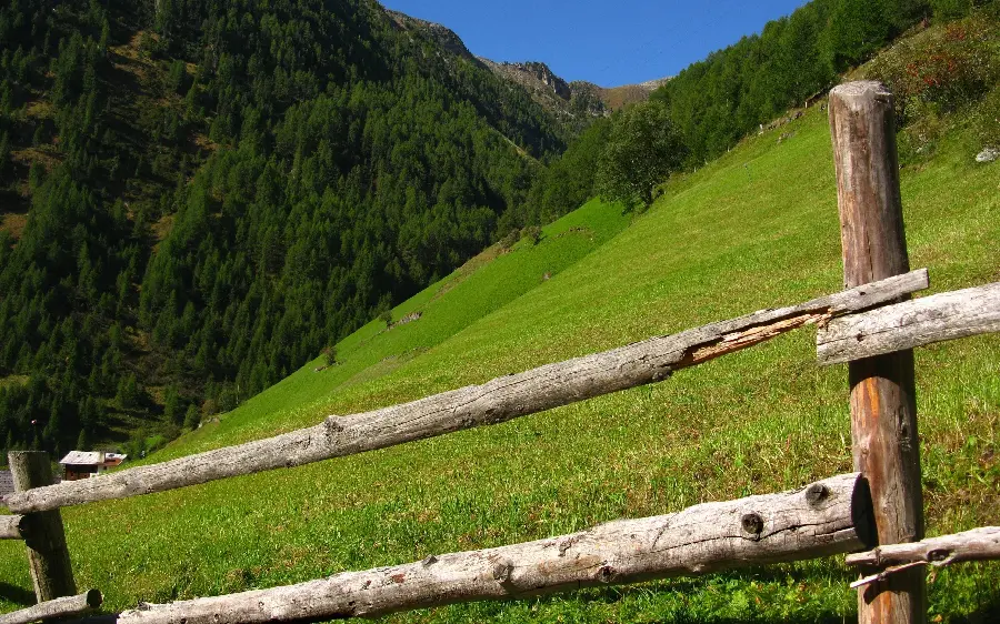 Free Download Wallpaper of Selected Computer 2023 of the Farm and Green Grass in the Highlands 