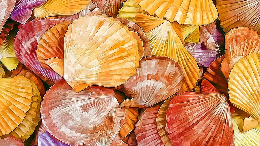 A digital painting with an attractive design of stacked shells