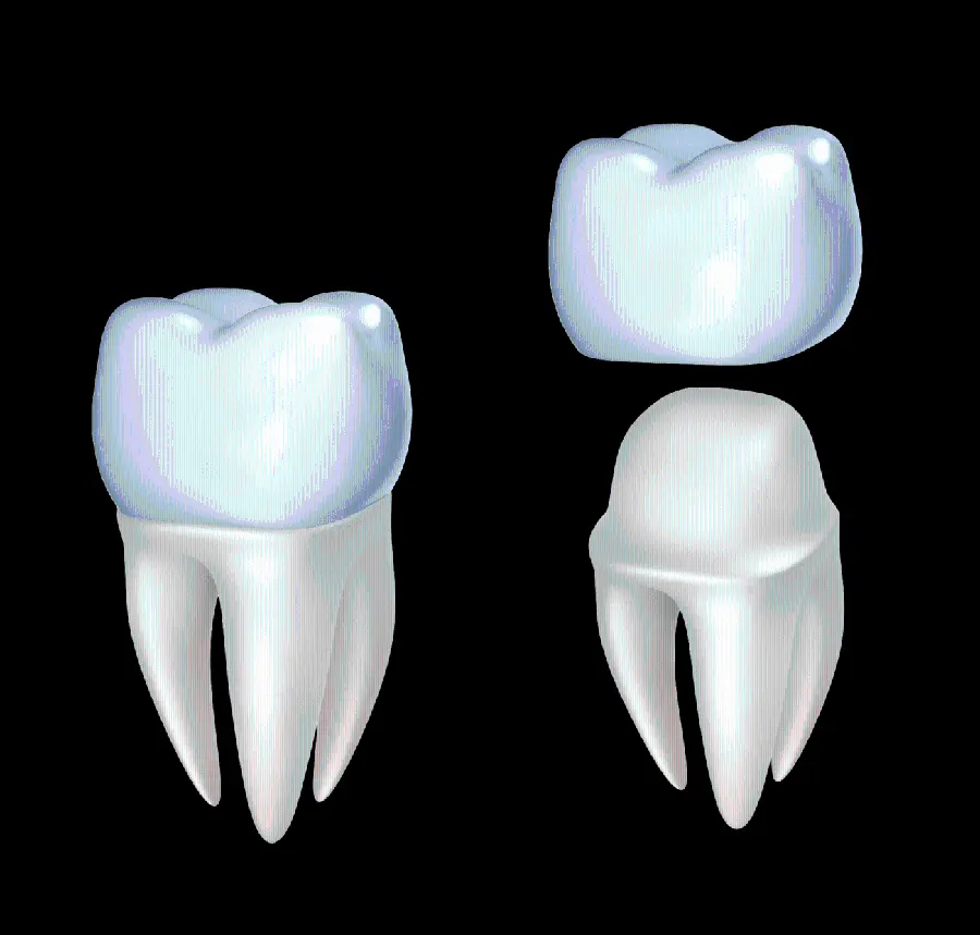 Download PNG Cutout Image of New Dentures 