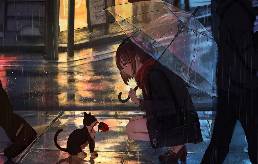 Download anime profile picture with beautiful umbrella design and drizzle 