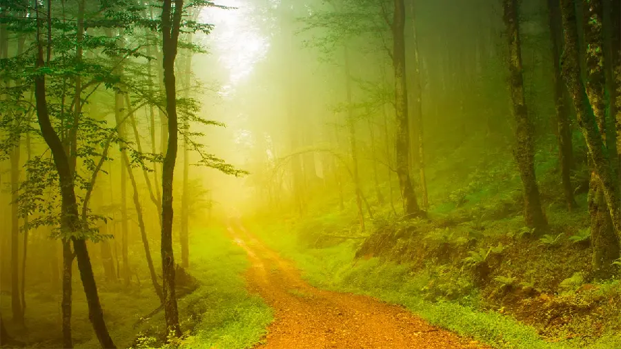 Download stock image of clean nature with clear and blue air 
