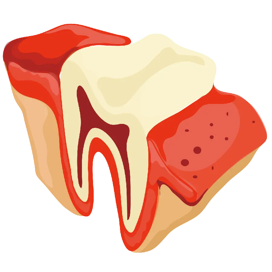 High Quality Graphic Tooth png png image
