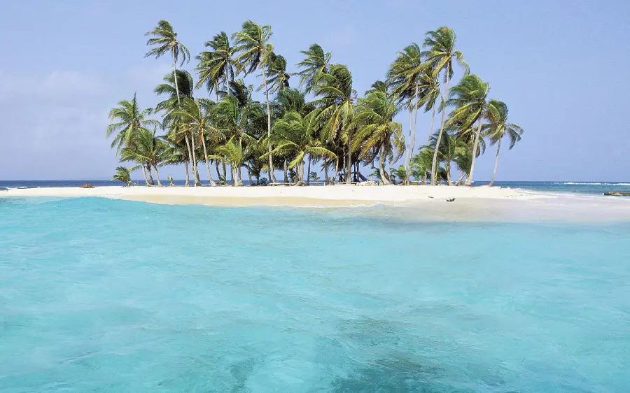 Download the wallpaper of the small island with feathers and trees