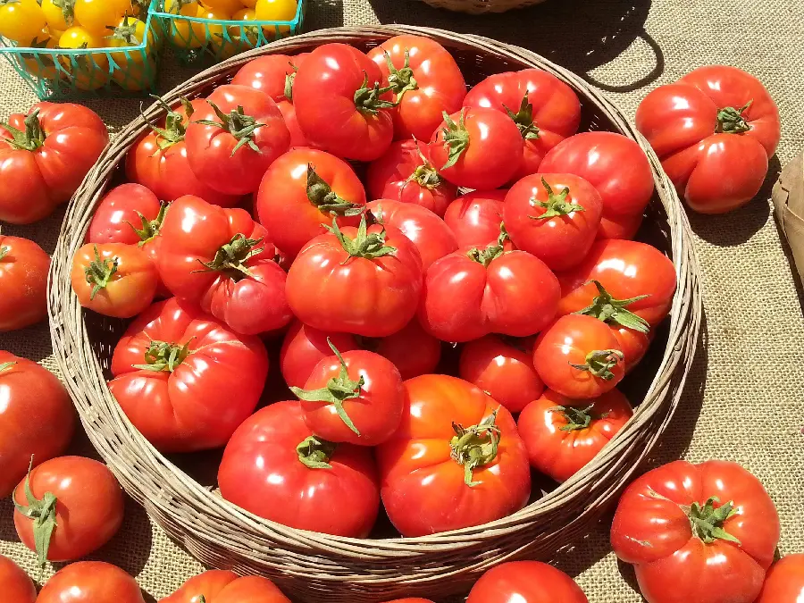 Photo of the shop selling delicious and juicy imported tomatoes for paste