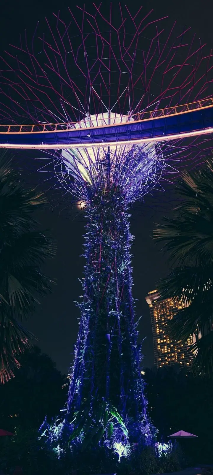 The latest trending wallpaper for Samsung Galaxy A05 2024