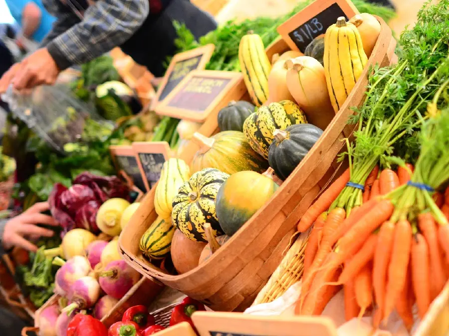 The most delicious picture of the fruit and vegetable market, pumpkin and carrot 