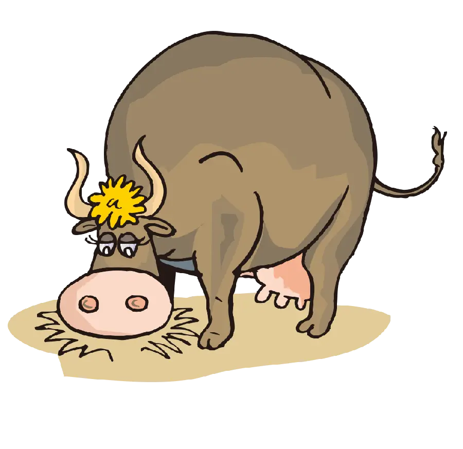 The latest graphic cow photo in PNG format and cropped 