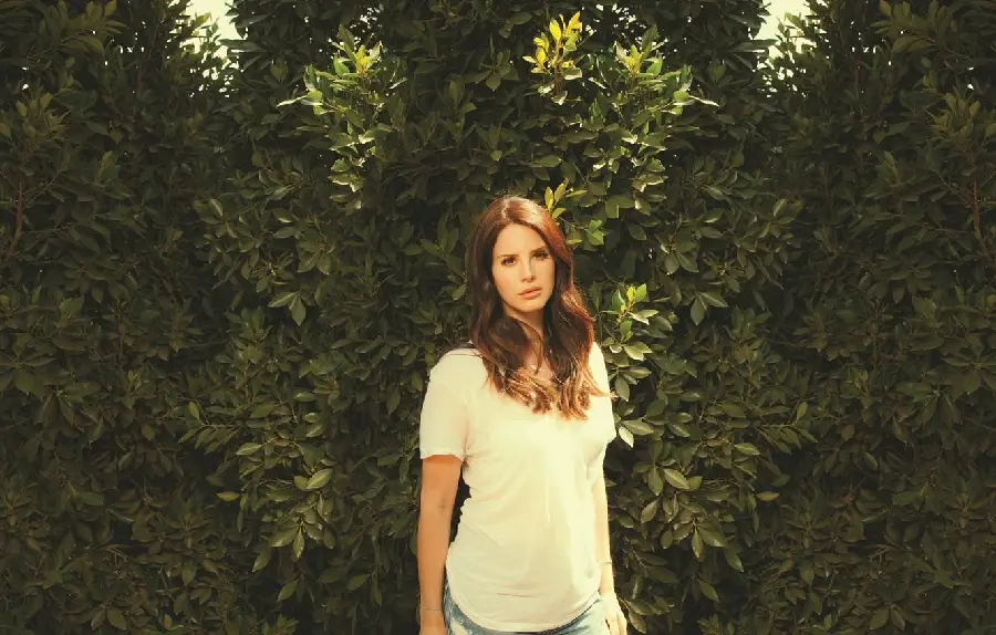 Lana Del Rey background image for fans of her art