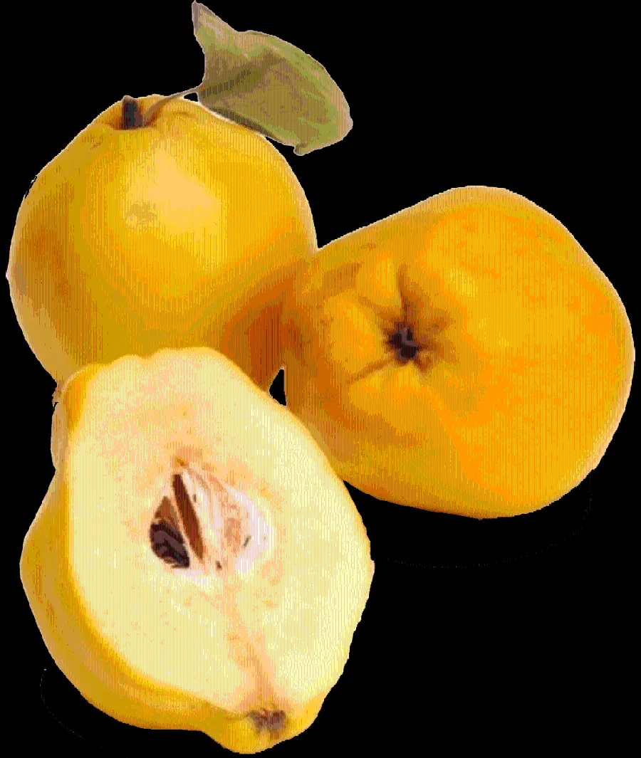 Download Real Fruit Photo in PNG Format Cropped 